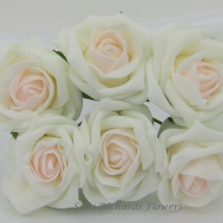 Blush Cottage Roses 6cm